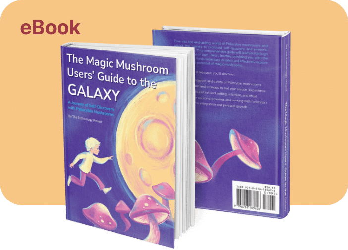 Magic Mushroom Seekers’ Guide to the Galaxy logo
